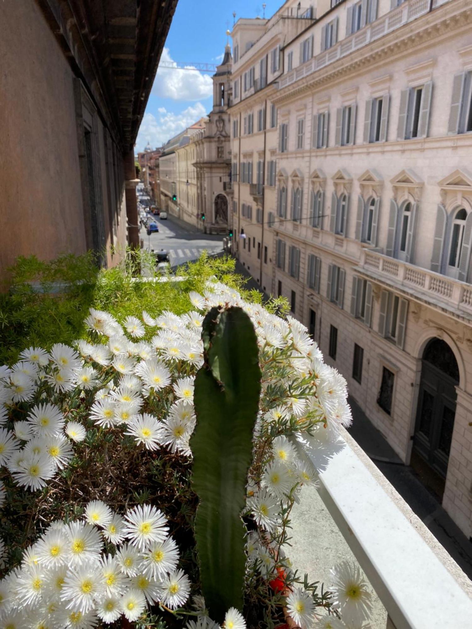 Terrazza Marco Antonio Luxury Gasthuis