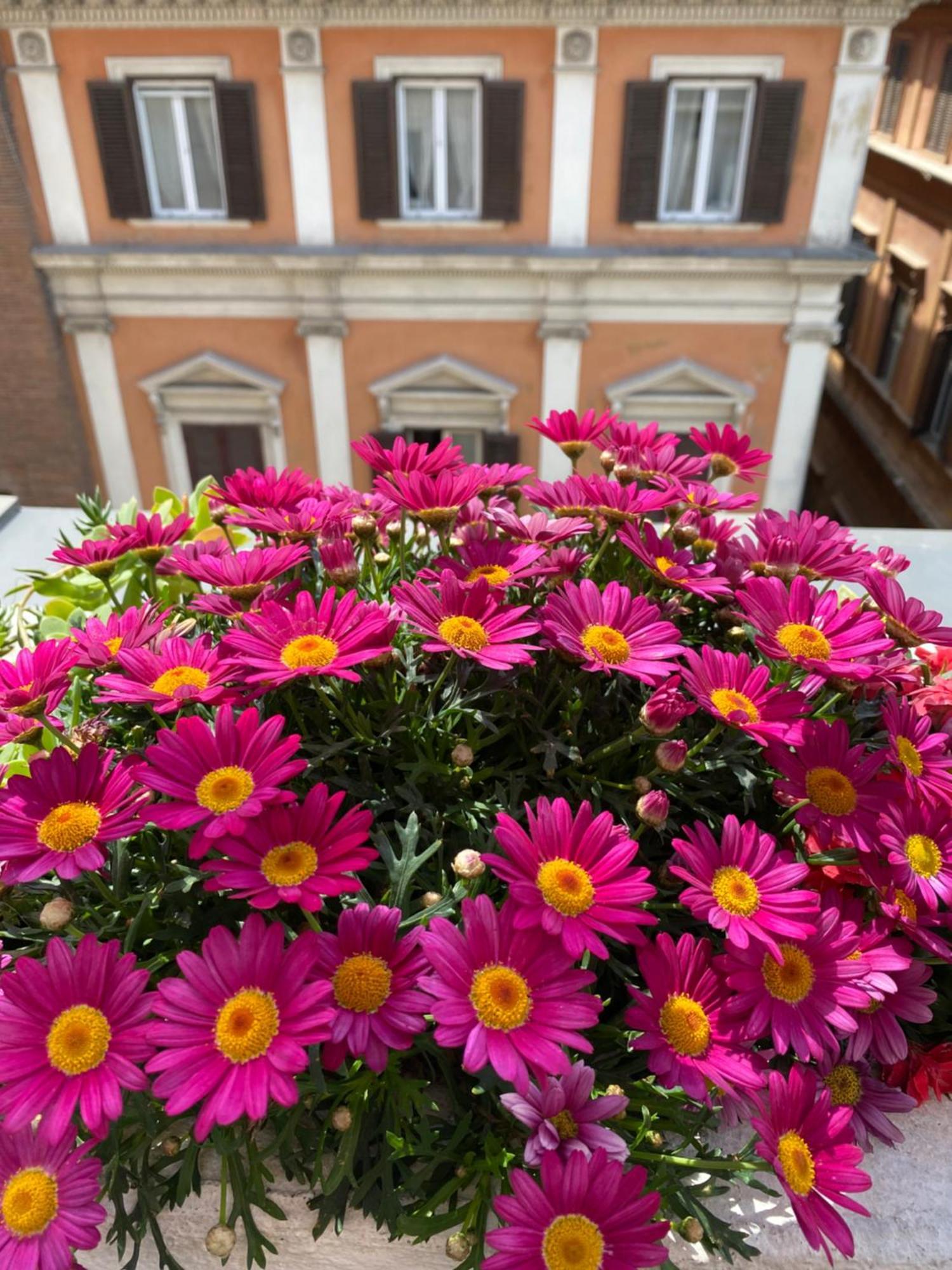 Terrazza Marco Antonio Luxury Gasthuis Rome